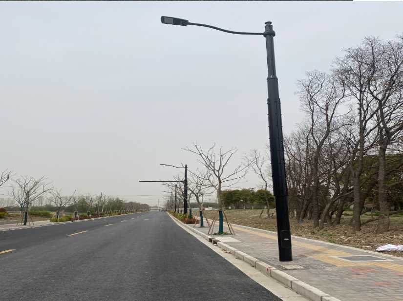 泰顺县上海综合杆 太阳能路灯工程